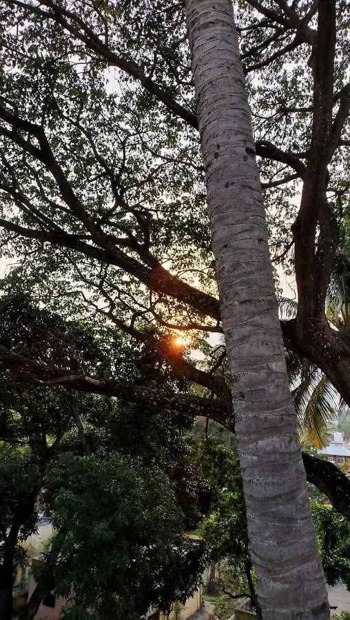 Raintree Garden Hotel Mysore 0*,